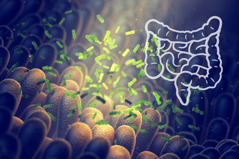 Promo Microbiota Studio42 Analisi del microbiota intestinale